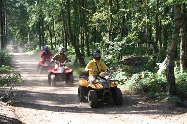  Goditi un'esplosione nella foresta ... 